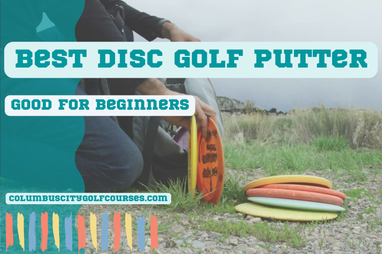 Best Disc Golf Putter Good For Beginners in this sport